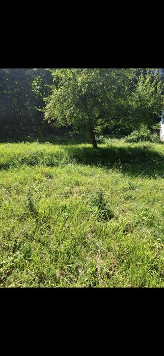 Дворно място в с. Ново Бърдо