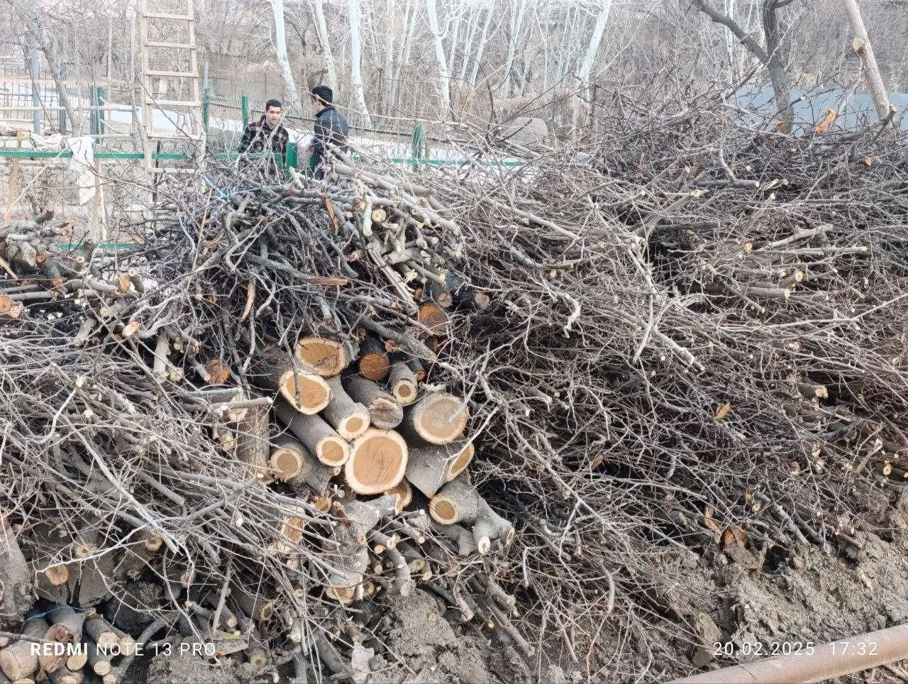 Хивада утин сотилади/продаются дрова