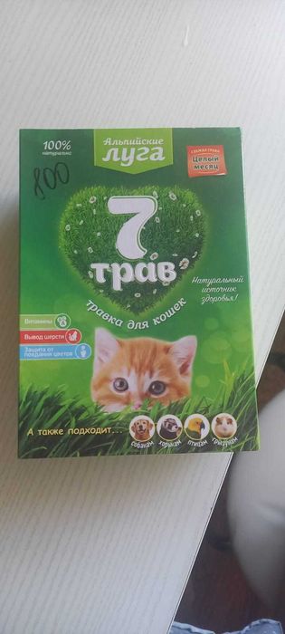 трава для кошек бесплатно