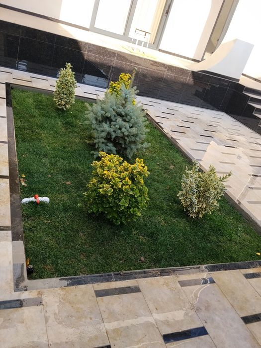 Boğbon xizmati lanshaf asosida