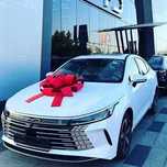 BYD Chazor variantga