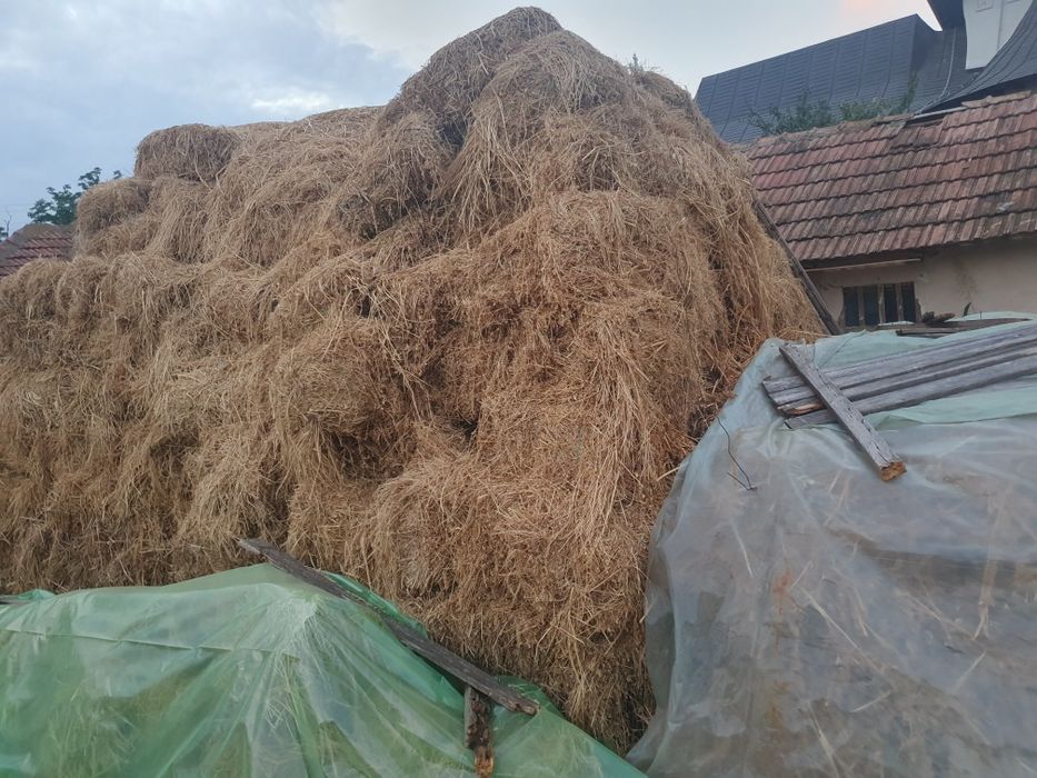 Baloti lucerna coasa1 si 2