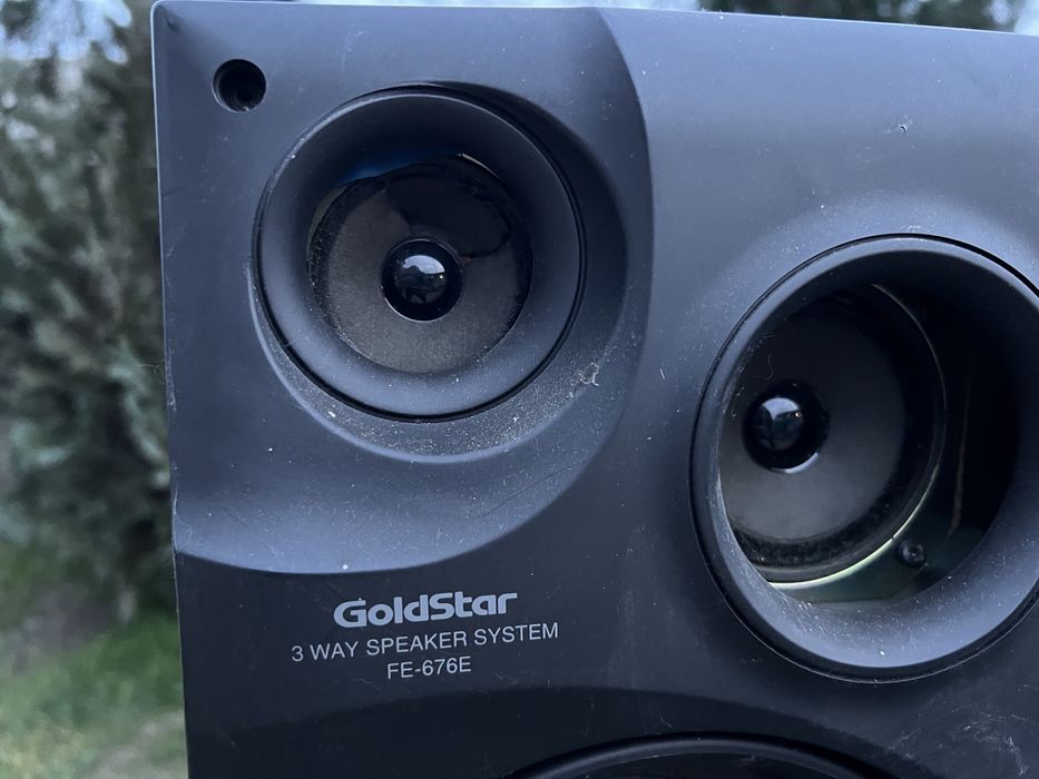 Boxe Goldstar FE-676E bass reflex