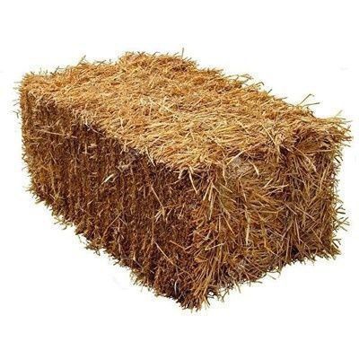 Somon pris bor sotiladi 150 dona  narhi 18000 ming dan