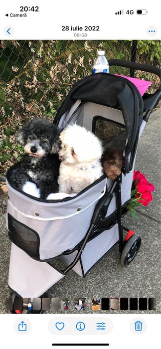 Carucior pentru animale de companie