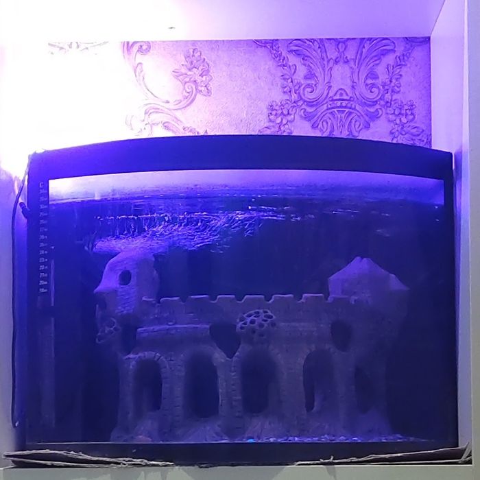 50L akvarium sotuvda