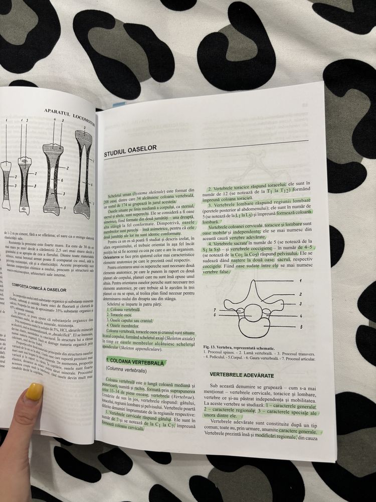 Anatomia omului- Victor Papilian vol1