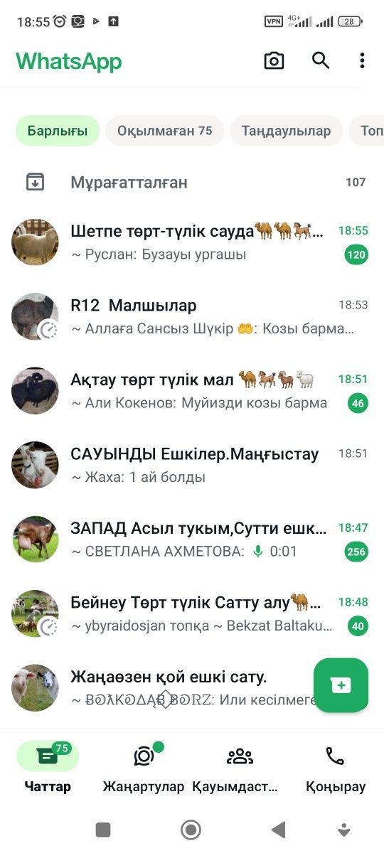 Қой,ешкі,сиыр,жылқы түйе