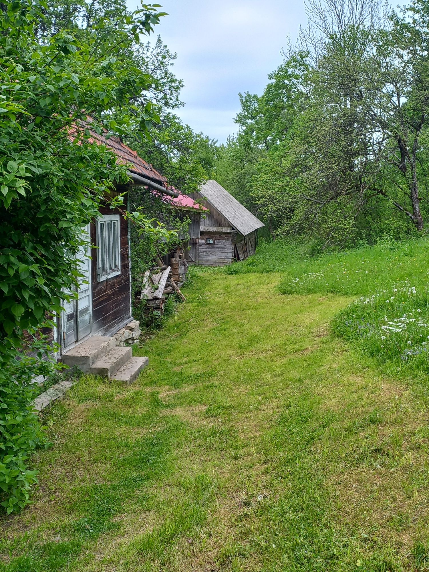 Vand terenuri constructie case,cabane Luminesti,Sohodol, Alba .