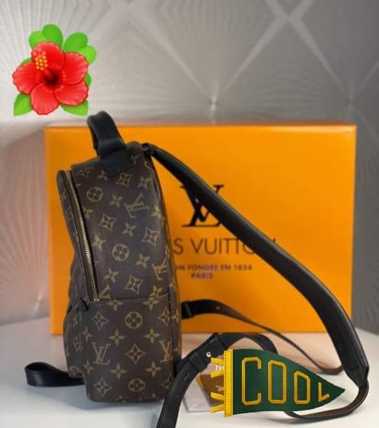 Rucsac Louis Vuitton new model import Franța,saculet,etichetă