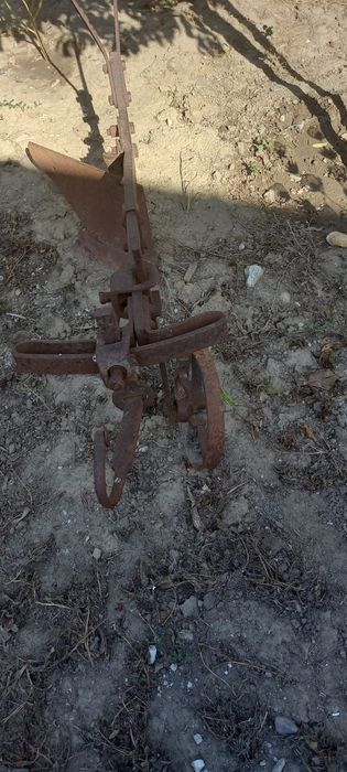 Plug si rarițe de colecție