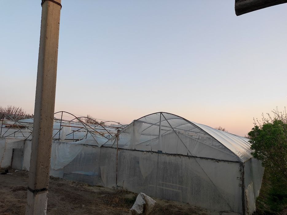 Иссиқхона 5,5 сотиқли arzonga tez sotiladi