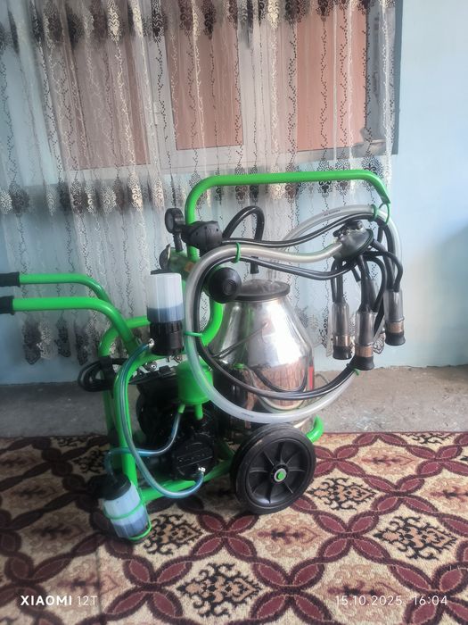 Нам дали 1 год гарантия