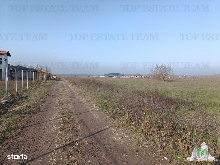 Super teren intravilan (Lot 2) la  DJ 101, loc. Gruiu IF, ideal pentru