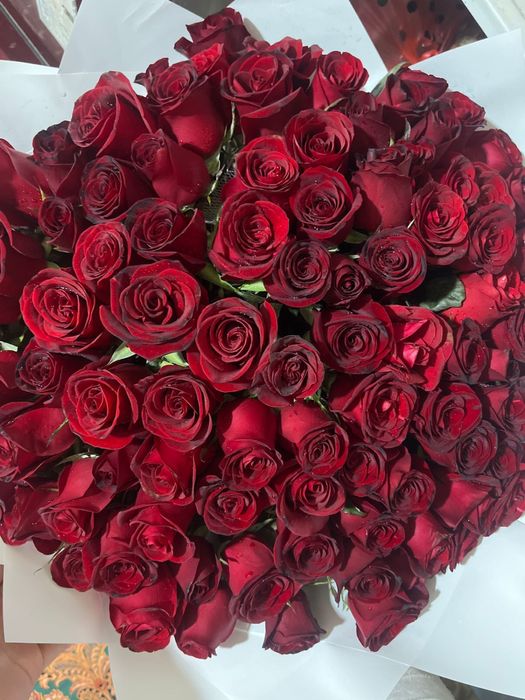 101 штук роза свежая срочно продаю