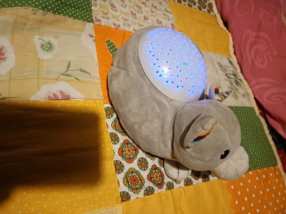 Proiector bebelus pisica