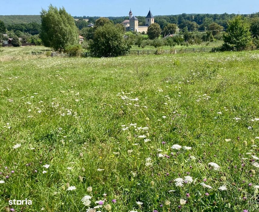 Teren Ideal Pentru Casa De Vacanta !