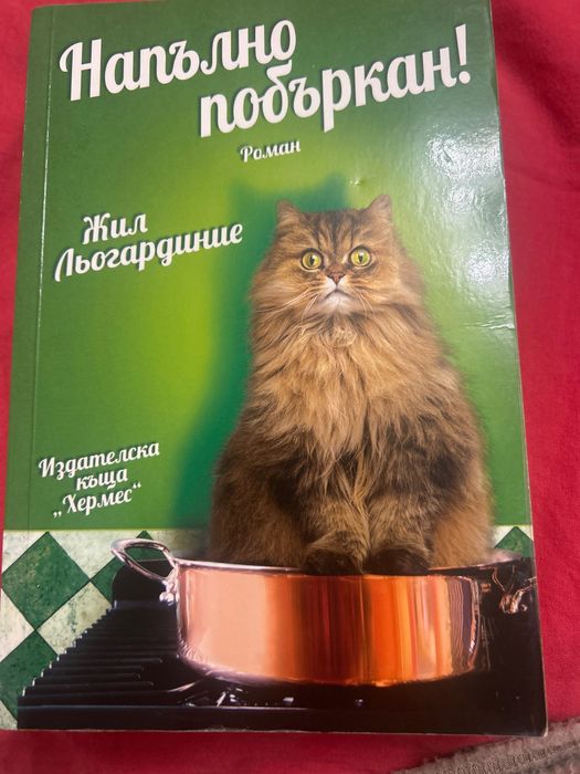 Книга, роман- Напълно побъркан