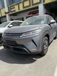 Byd yuanup smart