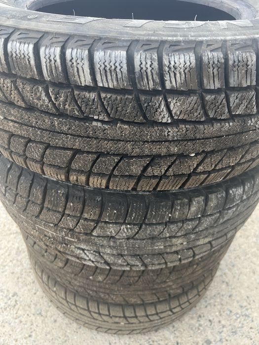 Шины зимние Triangle