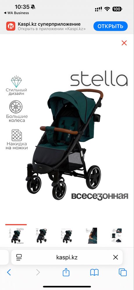 Коляска прогулочная TOMIX Stella, черно-зеленый