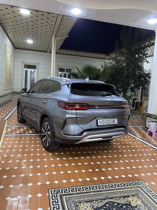 Byd gibrit 2024-yil