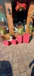 Vand set 4 valize