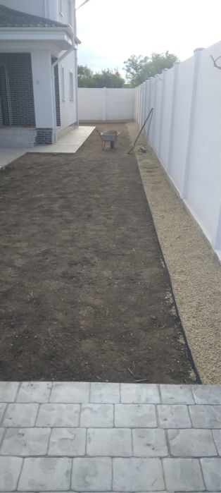 Gazon rulou calitatea 1