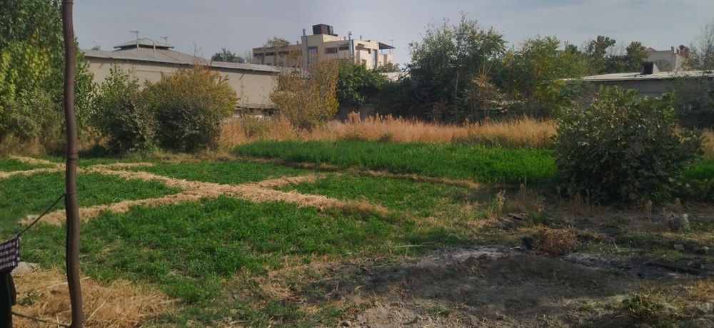 Панжоб 25-соток! Продаётся дом.