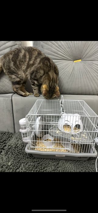 Продам клетку для хомяка