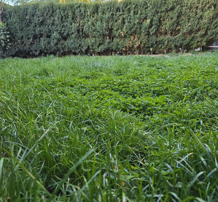 Teren intravilan Focsani,FAN Courier