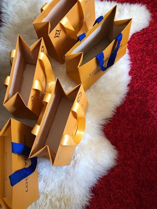 Pungi Louis Vuitton LV punga noi