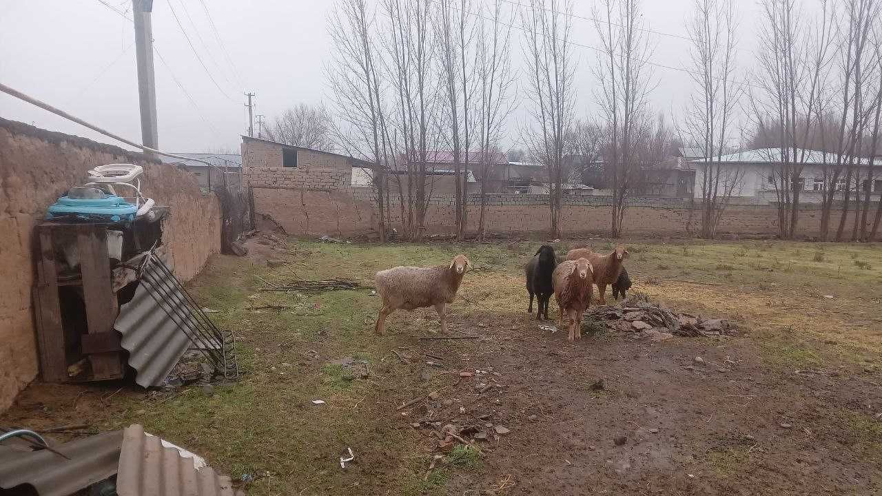 Yer sotiladi Toshkent tumani