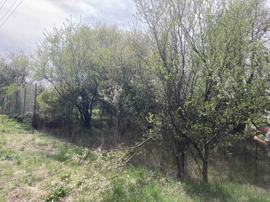 Продава се Парцел в с. Бабица, Област Перник - 1260 кв.м за 12 €/кв.м - Снимка #6