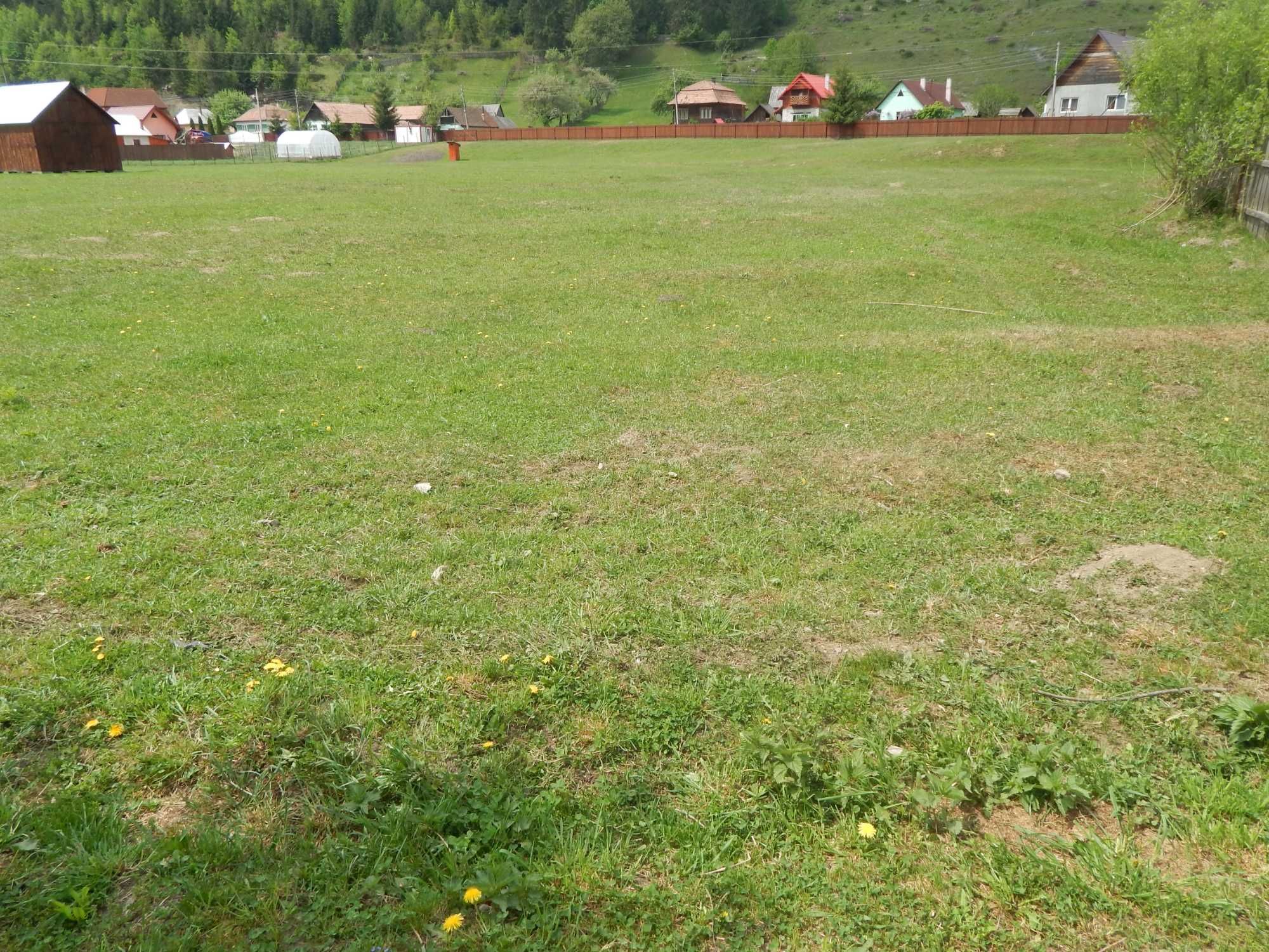 Vand teren  la  munte intravilan  in Tulghes, Harghita , 8 euro mp