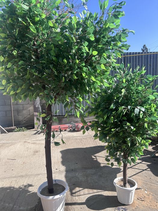 Искусственные деревья