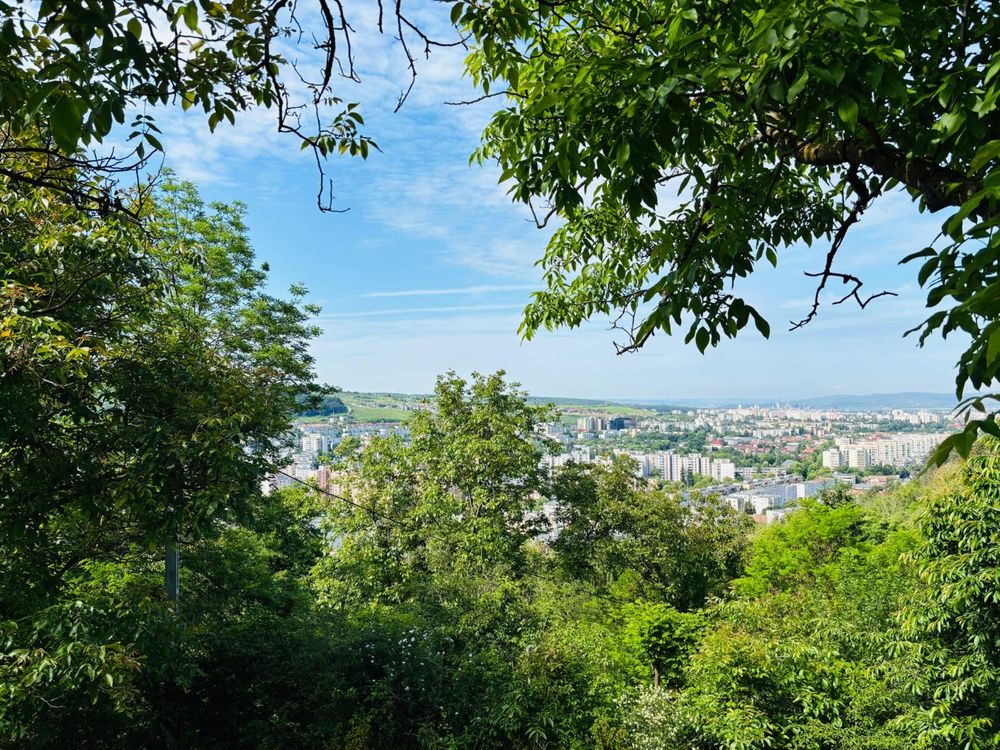Teren cu casuta intabulata str. Posada (platou Cornesti)