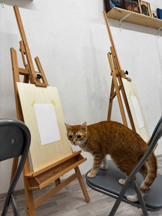 Cursuri/meditatii de desen si pictura pentru copii si adulti