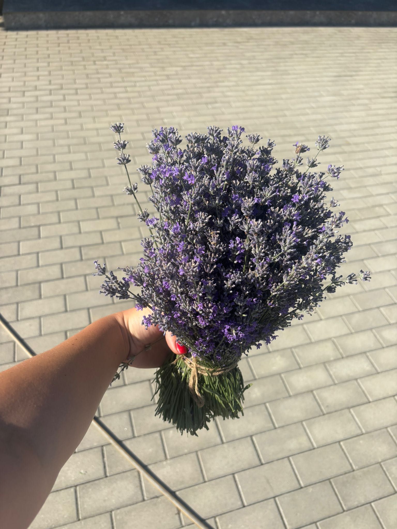 Buchete lavandă în danes