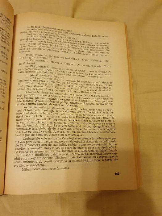 Romanul lui Eminescu, Cezar Petrescu, ed. Junimea Iași 1984.
