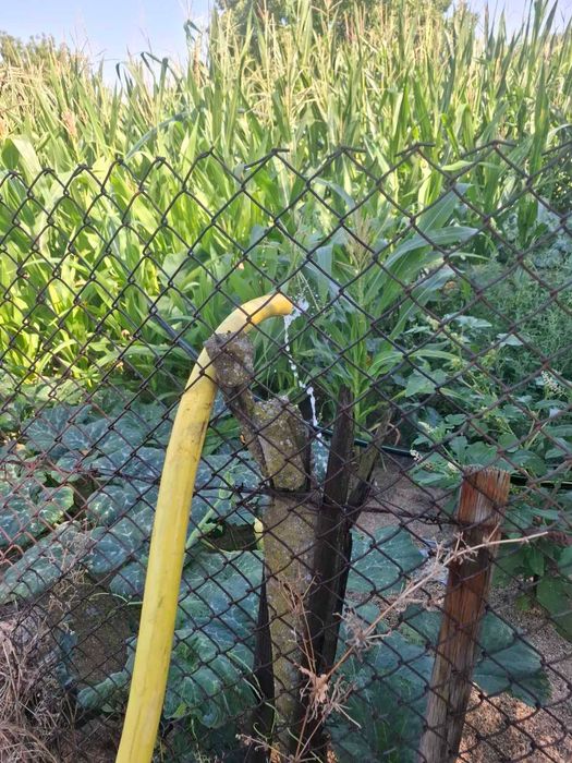 Почистване на нови и стари сондажи с еърлифт