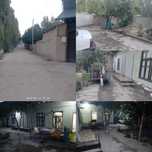 Ховли туракургон