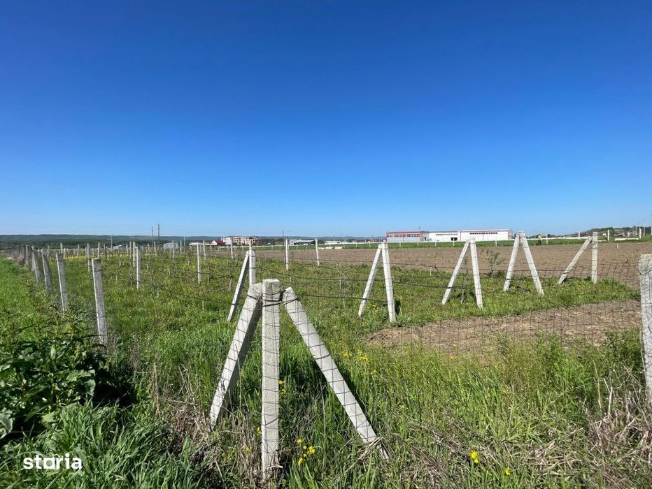 Teren intravilan agricol 6215mp cu utilitati in Racari, jud. Dolj