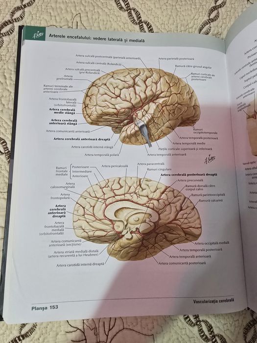 Atlas Netter ediția 7