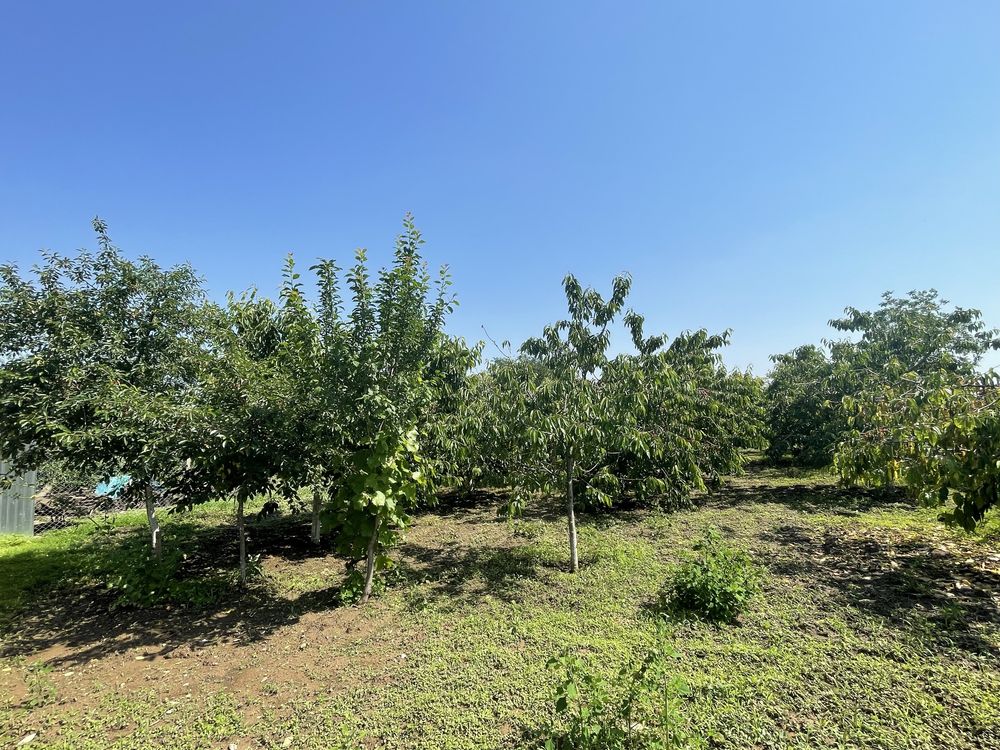 Casa 3 camere Popesti