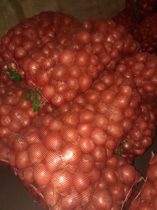 Ceapa calitatea întâi