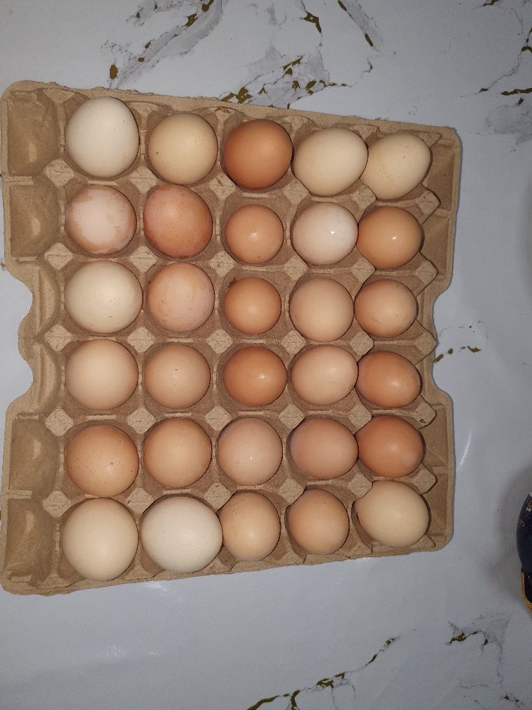 Яйцо домашнее вкусное