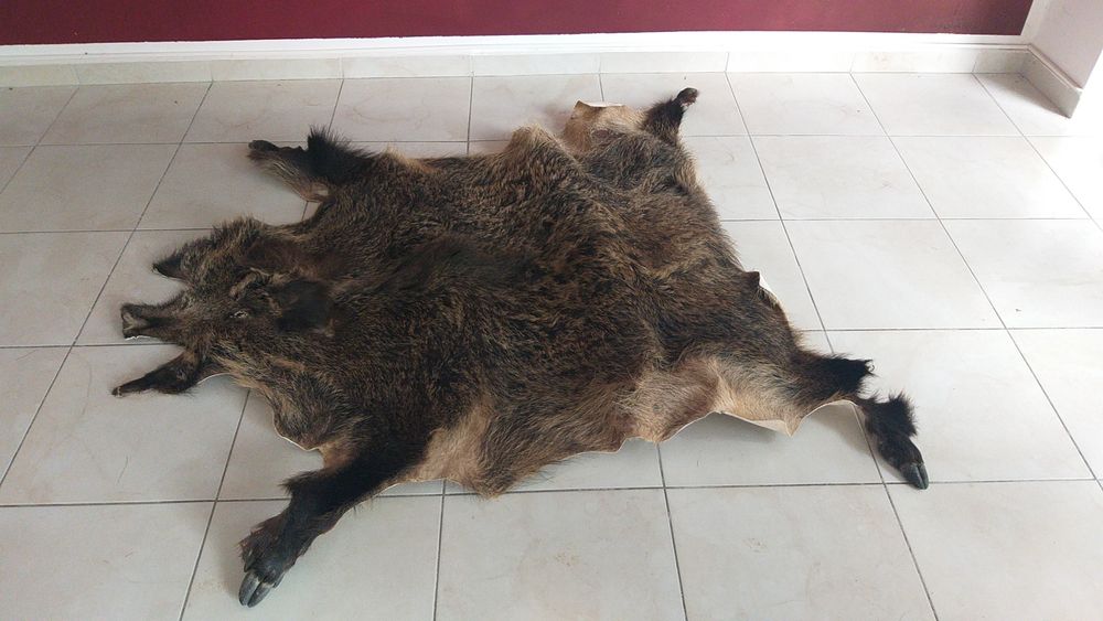 Piei de mistret două bucăți de anul trecut