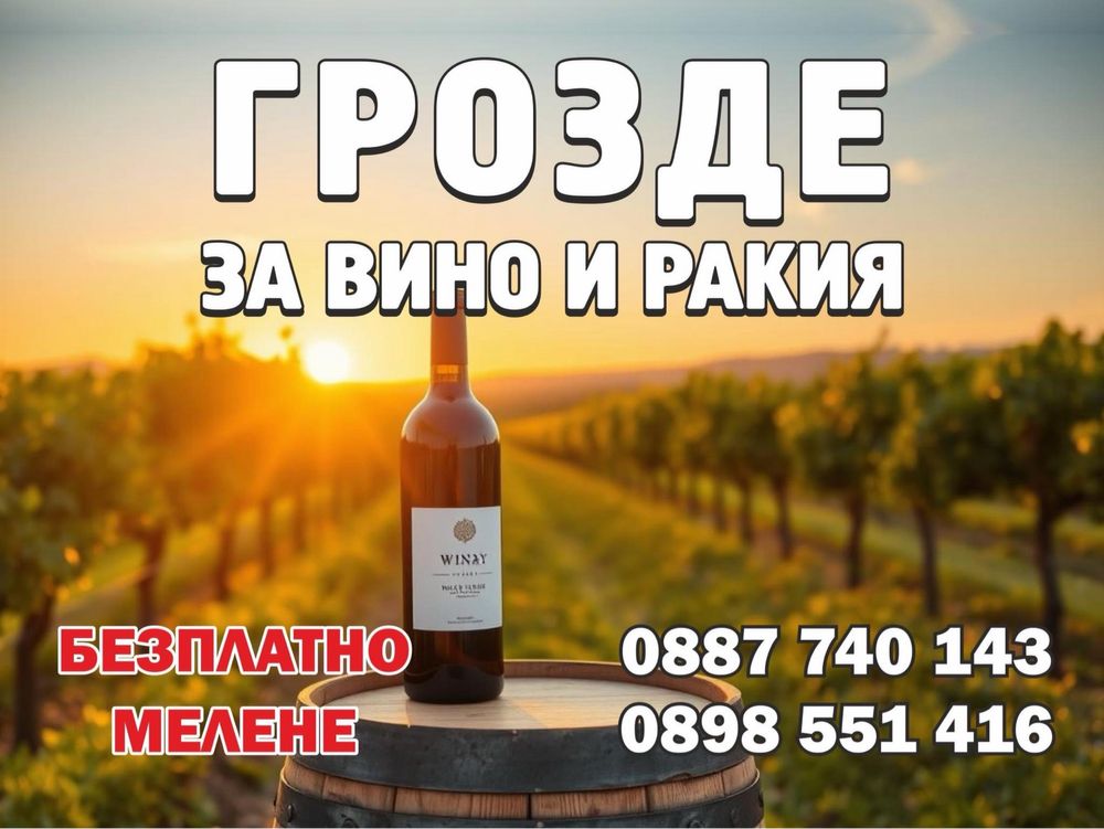 Грозде за Вино и Ракия!-БЕЗПЛАТНО МЕЛЕНЕ!….