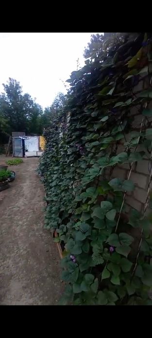 Продается дача .